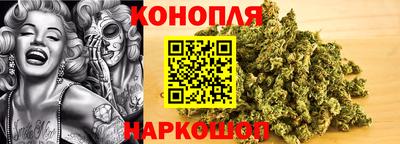 бошки Бийск